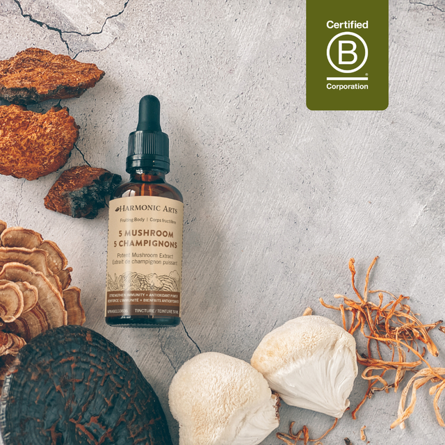 5 Mushroom Tincture