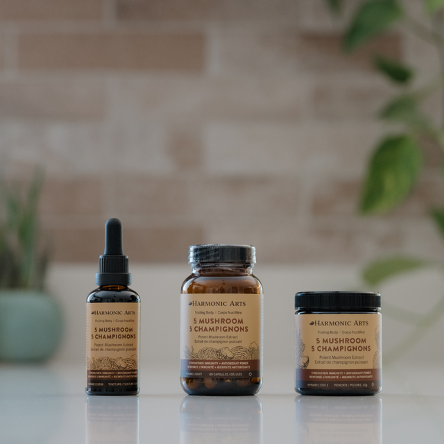 5 Mushroom Tincture
