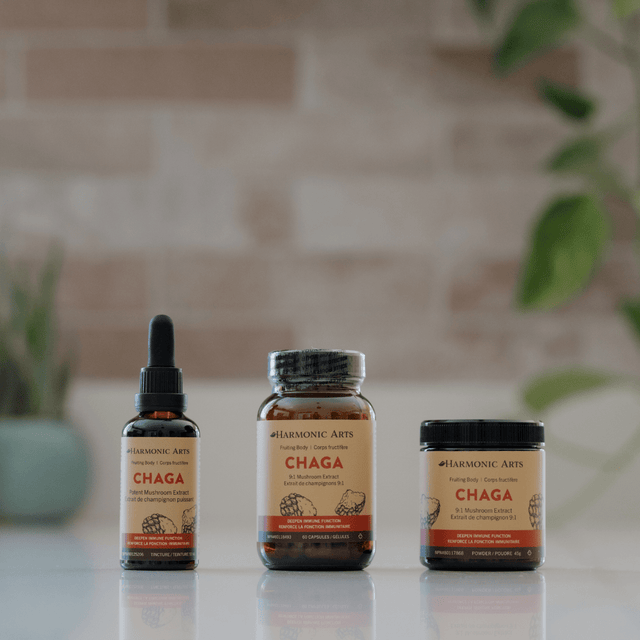 Chaga Mushroom Capsules - Harmonic Arts