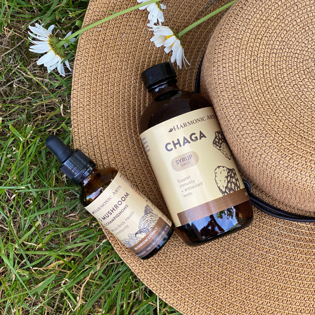 Chaga Syrup - Harmonic Arts