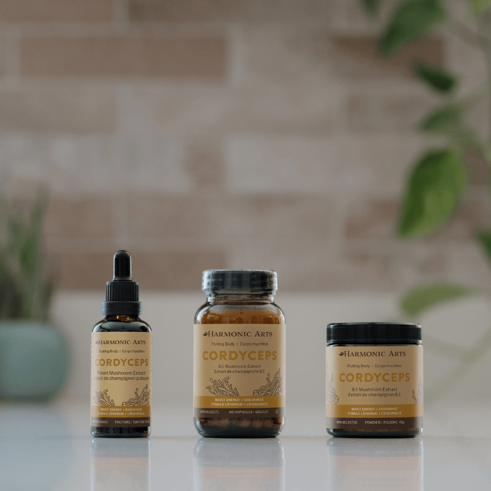 Cordyceps Mushroom Tincture - Harmonic Arts