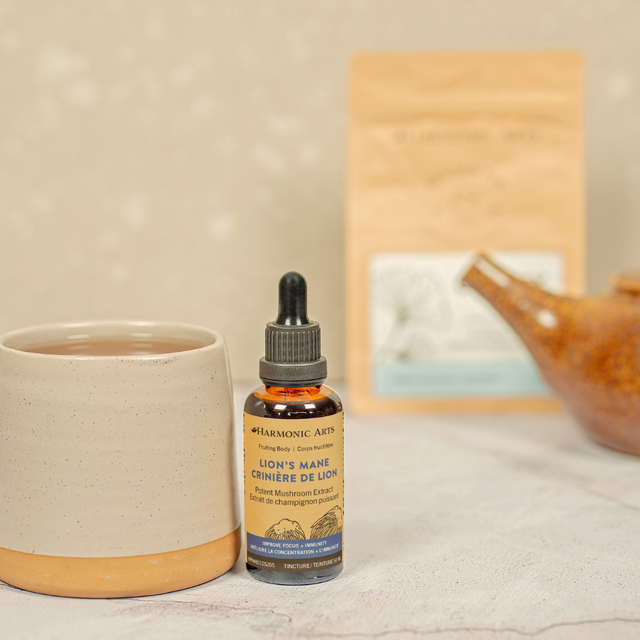 Lion's Mane Mushroom Tincture