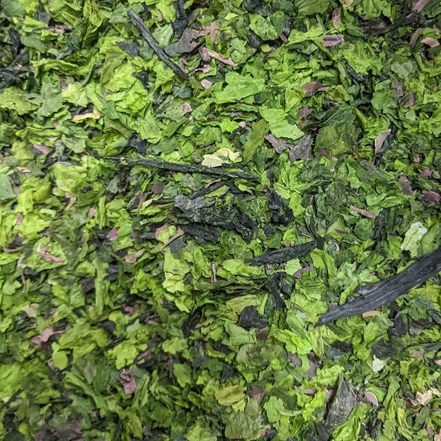 Sea - Veg Blend - Organic - Harmonic Arts