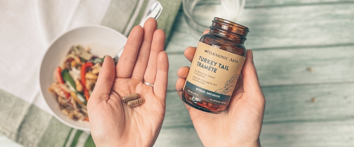 3 Mushrooms for Digestive Wellness - Harmonic Arts