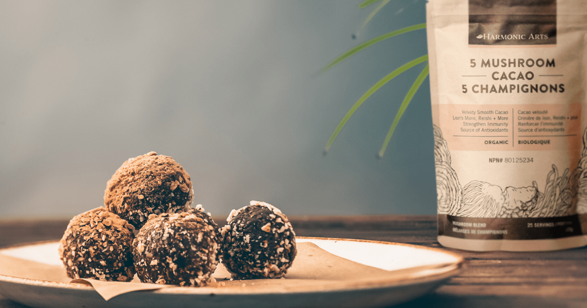 5 Mushroom Cacao Bites - Harmonic Arts
