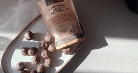 5 Mushroom Cacao Bliss Balls - Harmonic Arts