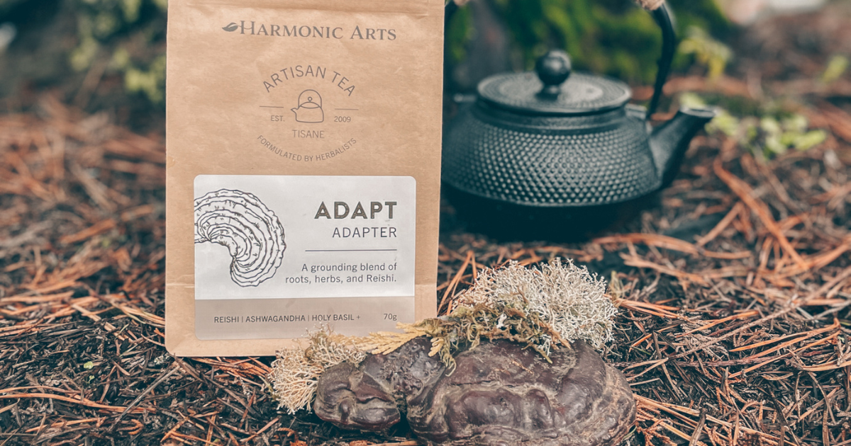 Going Beyond Organic: Our Commitment to Ethical and Sustainable Sourcing - Harmonic Arts