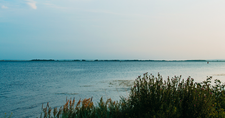 Harmonic Arts is a Sustainable Workplace