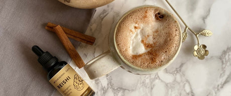 Adaptogenic Reishi Hot Cacao - Harmonic Arts