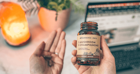 Antioxidant-Rich Products for Healthy Aging - Harmonic Arts