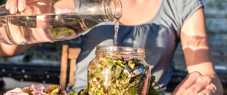 Botanical Resources for Budding Herbalists - Harmonic Arts