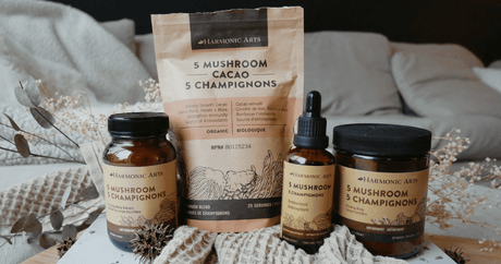 Cacao & Mushrooms for a Healthy Heart - Harmonic Arts