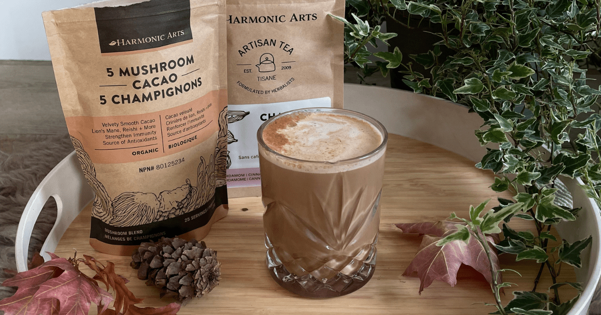 Chai Spiced 5 Mushroom Cacao - Harmonic Arts