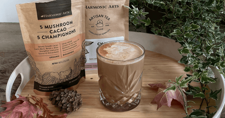 Chai Spiced 5 Mushroom Cacao - Harmonic Arts