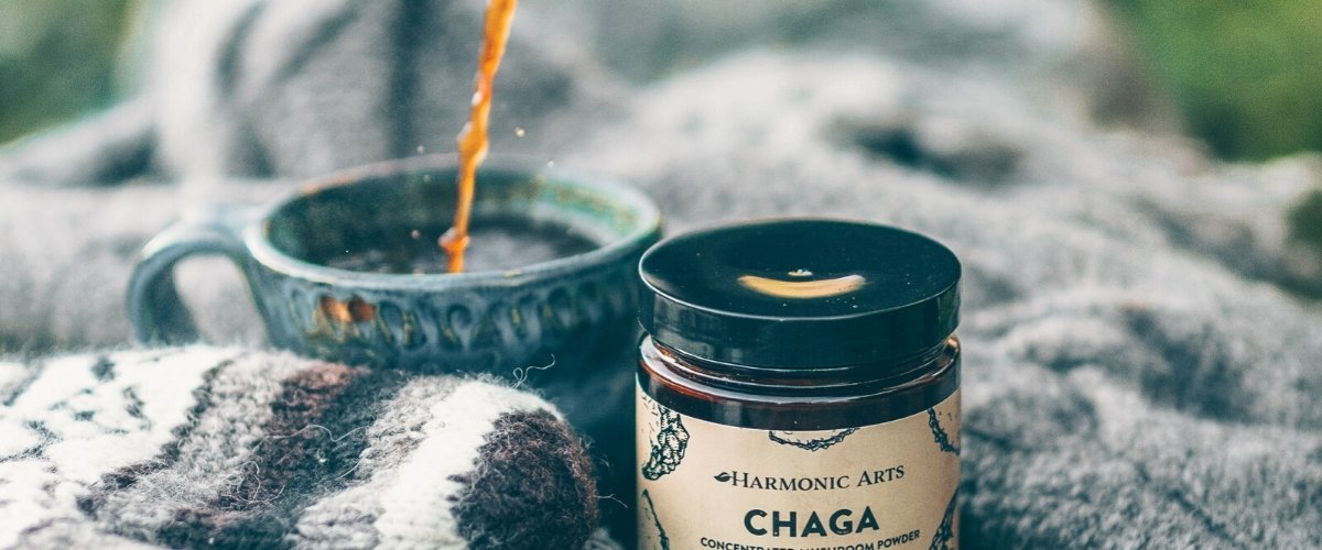 Cold-Busting Chaga Coffee - Harmonic Arts