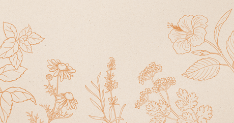 Cooling Herbs to Combat the Summer Heat - Harmonic Arts