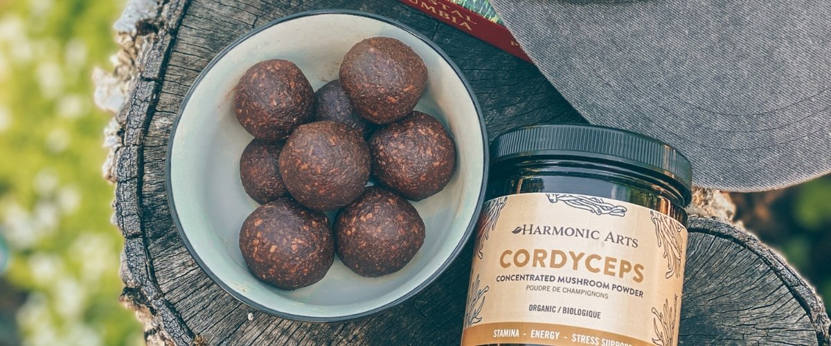 Cordyceps Fat Bombs - Harmonic Arts