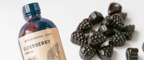 Elderberry Gummies - Harmonic Arts