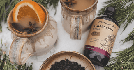 Elderberry Hot Toddy - Harmonic Arts