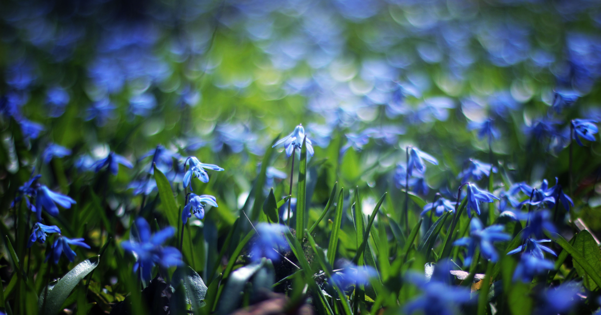 Good News: Our B Corp Score Has Improved! - Harmonic Arts