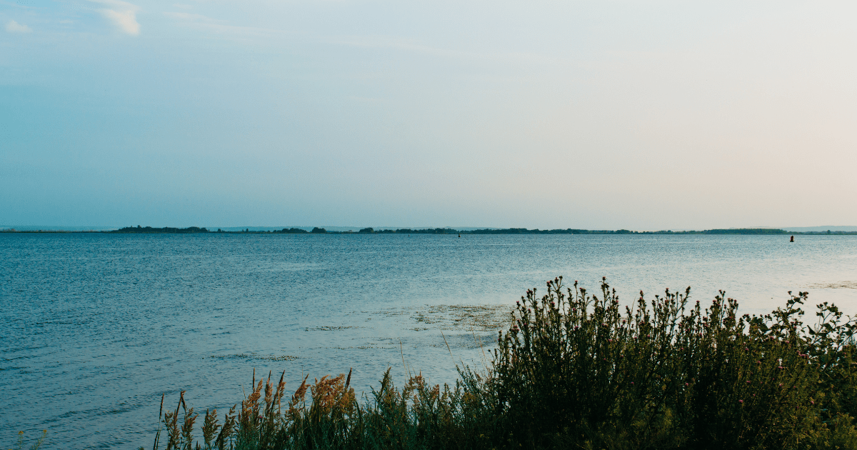 Harmonic Arts is a Sustainable Workplace - Harmonic Arts