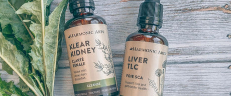Herbal Remedies to Support Cleansing - Harmonic Arts