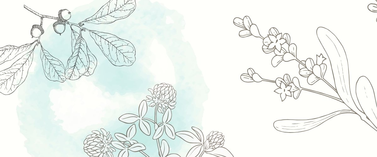 Herbs for Beltane - Harmonic Arts