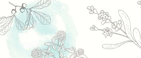 Herbs for Beltane - Harmonic Arts