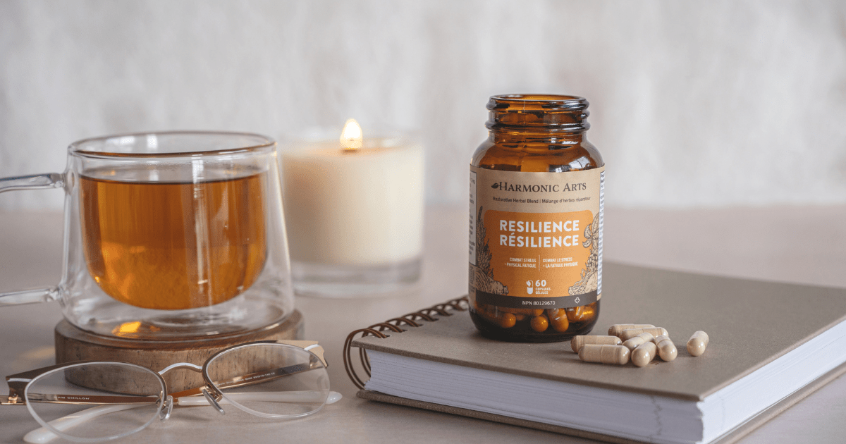 Herbs & Mushrooms for Preventing Burnout - Harmonic Arts