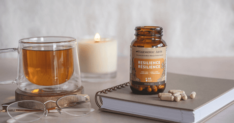 Herbs & Mushrooms for Preventing Burnout - Harmonic Arts