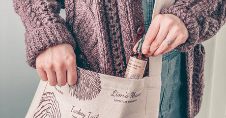 Herbs & Mushrooms for Travel Wellness - Harmonic Arts