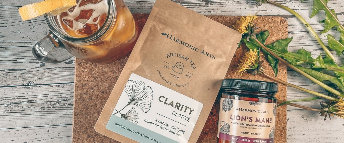 Lion's Mane Herbal Iced Tea - Harmonic Arts