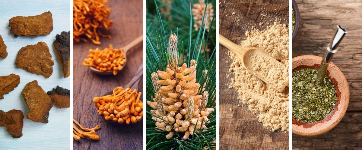 Mushrooms & Superfoods for Summer Vitality - Harmonic Arts