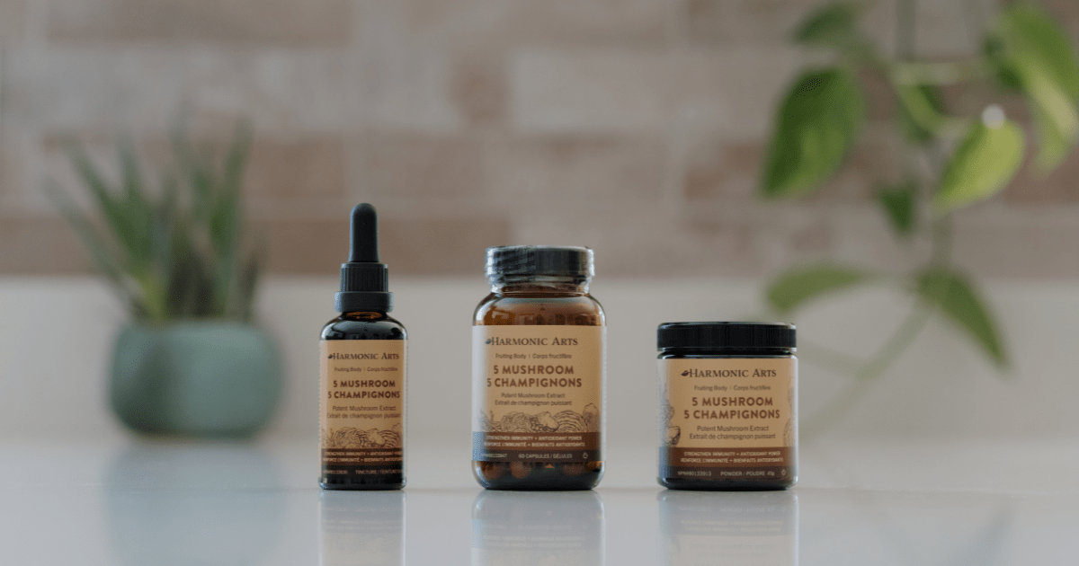 Mycelium vs. Fruiting Body: What Makes a Full Spectrum Mushroom Supplement? - Harmonic Arts