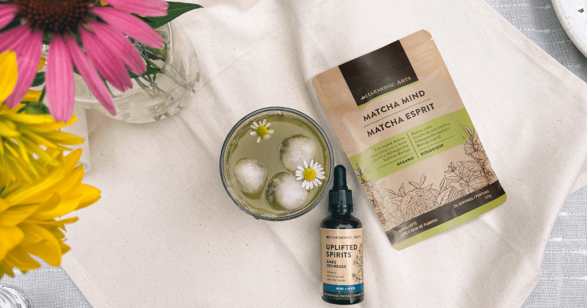 Nootropic Iced Herbal Latte - Harmonic Arts