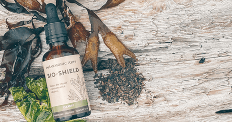 Preventing Free Radical Damage with Bio-Shield - Harmonic Arts