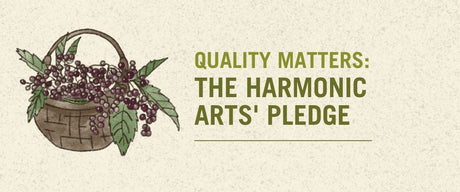 Quality Matters: The Harmonic Arts' Pledge - Harmonic Arts