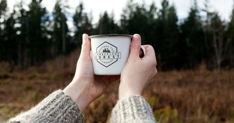 Rooted in Nature: Why We're Committed to Environmental Stewardship - Harmonic Arts