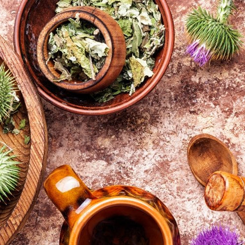 Spring Forward with Fortifying Herbs & Mushrooms - Harmonic Arts