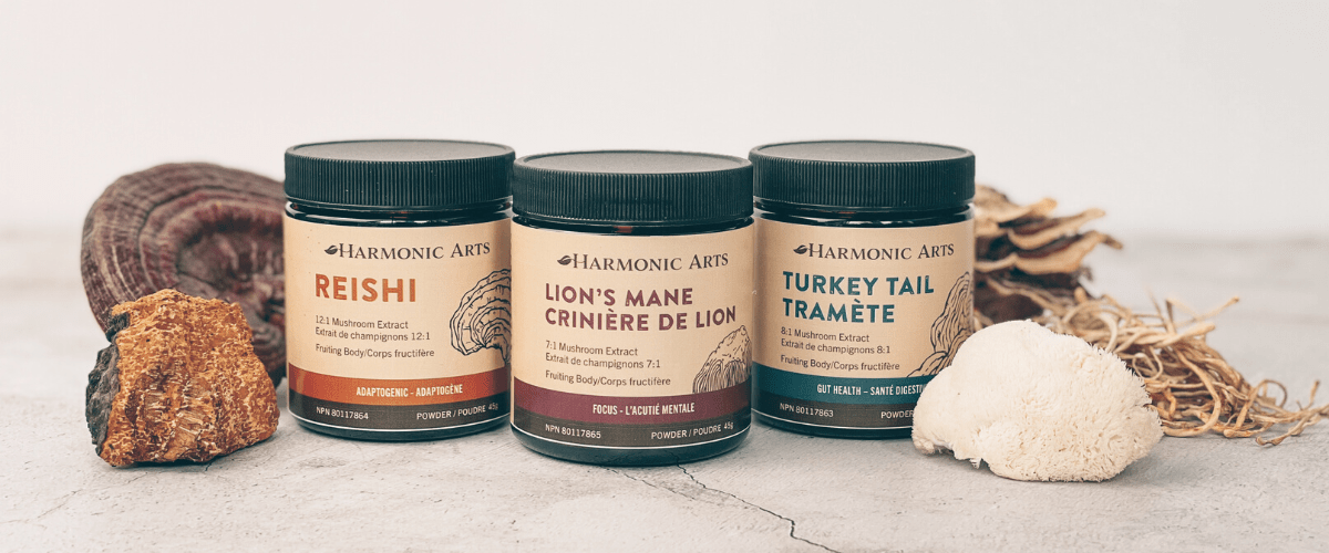 Supporting Immunity with Functional Mushrooms - Harmonic Arts
