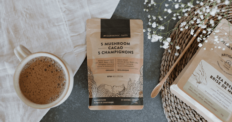 Tea & Herbal Latte Pairings for Staying Cozy - Harmonic Arts