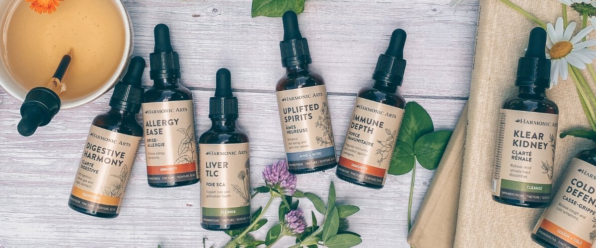 Tincture Anatomy: A Beginner's Guide to Herbal Extracts - Harmonic Arts