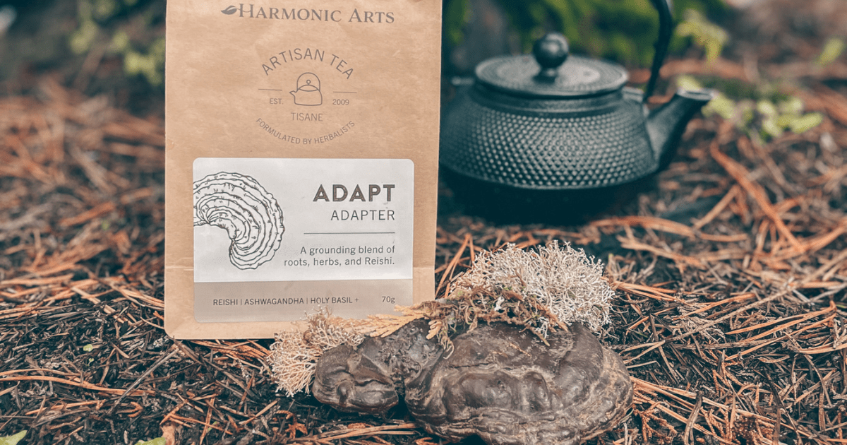 Understanding Adaptogens: Herbal Allies for Building Resilience - Harmonic Arts