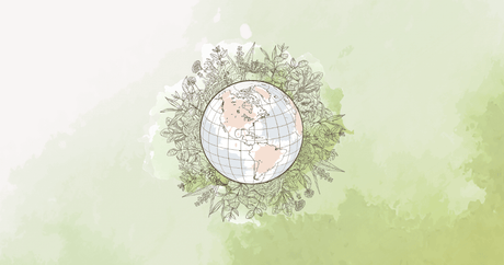 What Does it Take to Run a Values-Driven Business? - Harmonic Arts