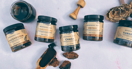 What to Do if Your Mushroom Powder Has Hardened - Harmonic Arts