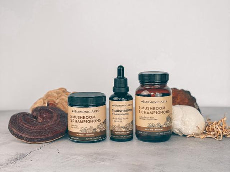 5 Mushroom Blend - Harmonic Arts