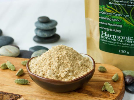 Clearance Products - Harmonic Arts