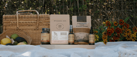 Cold + Immunity - Harmonic Arts