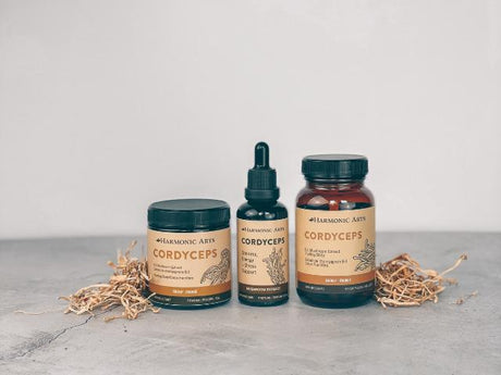 Cordyceps Mushroom - Harmonic Arts