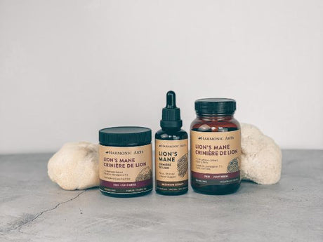 Lion's Mane Mushroom - Harmonic Arts